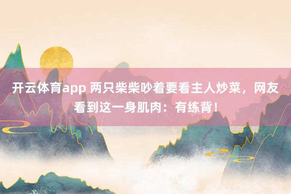 开云体育app 两只柴柴吵着要看主人炒菜，网友看到这一身肌肉：有练背！